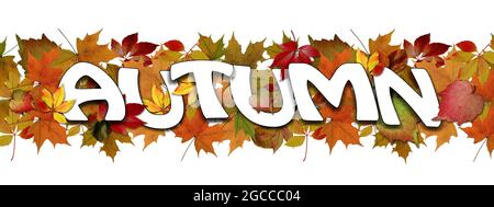 HERBSTSCHRIFT über bunten Blättern auf weißem Hintergrund - 3D Illustration Stockfoto