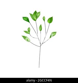 Rette die Wälder, rette die Umwelt.Baum wachsende Pflanzenblätter.umweltfreundliches Konzept Respekt vor der Natur. Stock Vektor