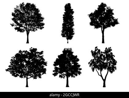 Schöne Sammlung Baum Silhouetten und Schneiden auf einem weißen Hintergrund mit Schneideweg. Stockfoto