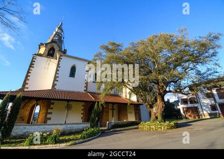 Kirche San Esteban de Galdames mit der hundertjährigen Steineiche daneben Stockfoto