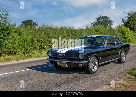 1966 60er Jahre schwarzer US-amerikanischer Ford Mustang 4733 ccm Muskelwagen, auf dem Weg zur Capesthorne Hall classic July Car Show, Ceshire, UK Stockfoto