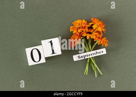 September. Datum des Herbstkalenders und orangefarbene Blüten auf grünem Hintergrund. Draufsicht Flat Lay. Minimalkonzept Hallo Herbst. Vorlage für Ihr Design, g Stockfoto