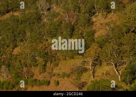 Aus der Vogelperspektive auf der Isle of Carna, Scottish Highlands Stockfoto