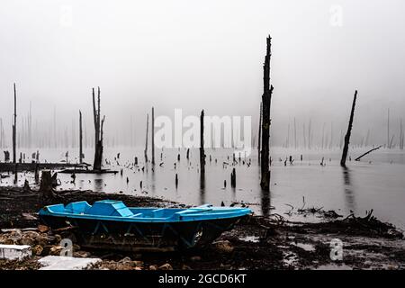 Nebliger See mit vielen trockenen Baumstämmen am Morgen aus flachem Winkel Bild wird am madhuri See tawang arunachal pradesh aufgenommen. Stockfoto