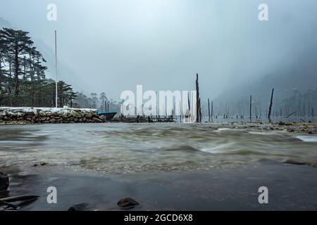 der mit Nebel und trockenen Baumstämmen am Morgen aus flachem Winkel bedeckte see wurde am madhuri-See tawang arunachal pradesh aufgenommen. Stockfoto