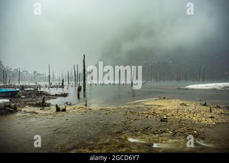 der mit Nebel und trockenen Baumstämmen am Morgen aus flachem Winkel bedeckte see wurde am madhuri-See tawang arunachal pradesh aufgenommen. Stockfoto