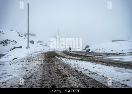 Asphaltstraße bedeckt mit frischem Schnee Fall am Morgen Bild wird am madhuri See tawang arunachal pradesh aufgenommen. Stockfoto