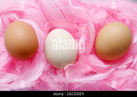 Eier liegen auf rosa Federn. Osterdekoration. Stockfoto