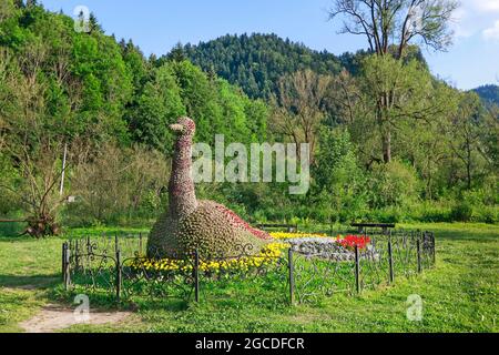 Blumenbeet in Form von Pfau im öffentlichen Park in Szczawnica, Polen. Stockfoto
