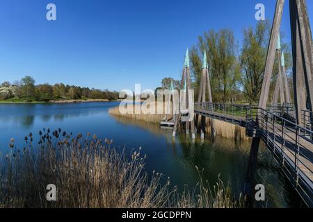 Schilf am See im Britzer Garten in Berlin im Frühling, Holzbrücke, Deutschland, Europa Stockfoto