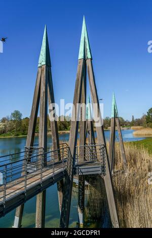 Schilf am See im Britzer Garten in Berlin im Frühling, Holzbrücke, Deutschland, Europa Stockfoto