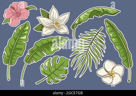 Tropische Blumen und Blätter gesetzt. Aufkleber. Sammlung von handgezeichneten exotischen Pflanzen und Blüten. Bananenblätter, Palme und Monstera, Hibiskus-, Plumeria- und Vanilleblüten. Premium Vector Stock Vektor