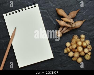 Fingerroot, Kaempfer mit offenem leerem Spiralnotizbuch und Bleistift auf schwarzem Hintergrund, Flat Lay-Konzept, Copy Space for Text. Stockfoto