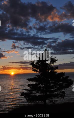 Ein einsamer Baum steht in Silhouette, als die Sonne über der Northumberland Strait auf Prince Edward Island untergeht. Stockfoto