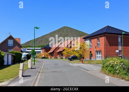 Ein Verwöhntipp auf dem Gelände Ecopole 11/19 in Loos-en-Gohelle, Teil des ehemaligen Kohlebergwerks Lievin (Pas-de-Calais), Frankreich Stockfoto