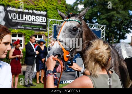 Berlin, Deutschland. August 2021. Das Siegerpferd Alpinista trinkt beim 131. Longines Grand Prix von Berlin Wasser. Quelle: Gerald Matzka/dpa/Alamy Live News Stockfoto