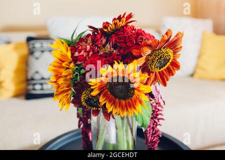 Frische Sonnenblumen und Zinnia Blumen in Vase im Wohnzimmer. Inneneinrichtung und Inneneinrichtung. Bouquet von Herbst gelb rot orange Herbst blüht auf dem Tisch. Clo Stockfoto