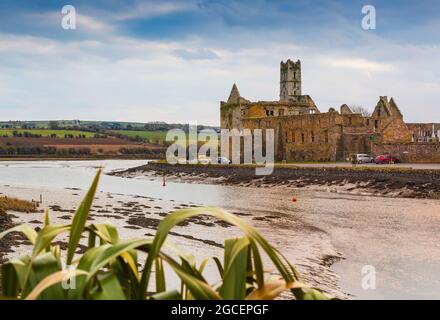 Ruinen von Timoleague Friary, auch bekannt als Timoleague Abbey, Timoleague, County Cork, Republik Irland. Das Franziskanerkloster wurde 1240 gegründet. Stockfoto