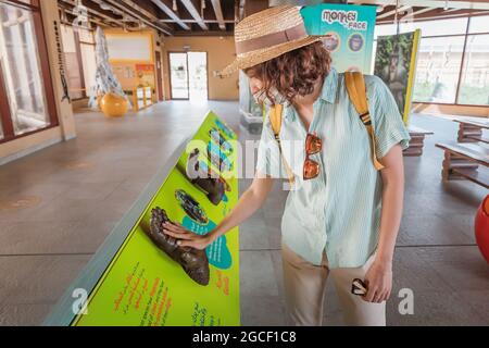 23. Februar 2021, Dubai, VAE: Die Besucher des Zoos legen ihre Handflächen an die Modelle der Pfoten verschiedener Primaten und Affen. Der Begriff der Bildung Stockfoto