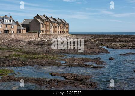 Häuser direkt am Vorland im Fischerdorf Gourdon, Aberdeenshire, Schottland. Stockfoto