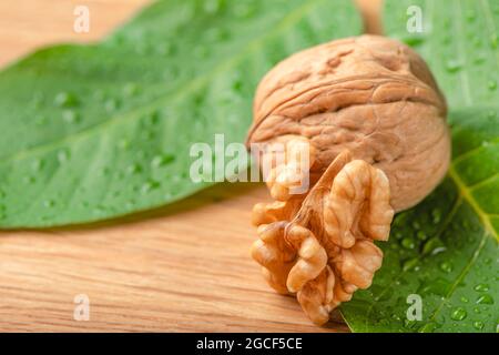 Walnuss. Walnussfrüchte liegen auf grünen Blättern mit Wassertropfen. Grüne Walnussblätter auf einem hölzernen Hintergrund. Stockfoto