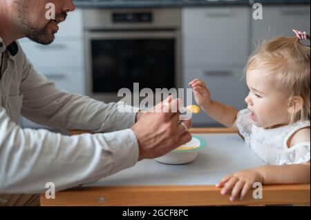 Ein fürsorglicher Mann mit Bart füttert seine kleine Tochter. Ein kleines Mädchen sitzt an einem Esstisch für Kinder und speiet mit ihrem Vater. Glückliche Vaterschaft. Stockfoto