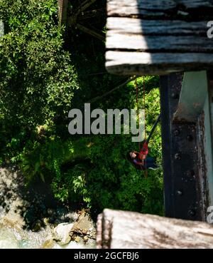 Amaga, Antioquia, Kolumbien - Juli 18 2021: Die hispanische Frau Bungee springt in den Wald und wartet auf Auflegen Stockfoto