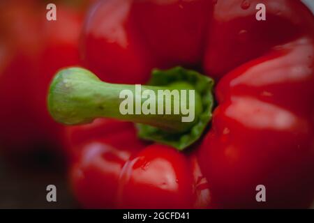 Rote Paprika mit glänzenden Wassertropfen Makro Stockfoto