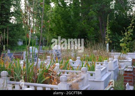 Islamischer Friedhof, Marmorgräber und Grabsteine unter Bäumen Stockfoto