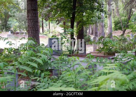 Islamischer Friedhof, Marmorgräber und Grabsteine unter Bäumen im Freien Stockfoto