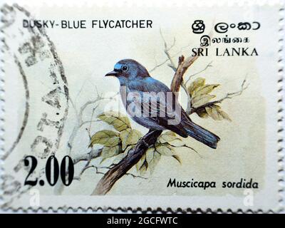 Eine in Sri Lanka gedruckte Briefmarke zeigt einen Dusky Blue Flycatcher Vogel auf einem Baumzweig (Muscicapa sordida), gebrauchte alte Briefmarke aus Sri Lanka, Wert 2 Sri Stockfoto