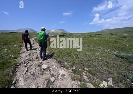 Wanderer auf Wanderwegen in der alpinen Tundra oberhalb des St. Mary's Glacier und oberhalb der Baumgrenze im Arapaho National Forest, Colorado, am sonnigen Sommermorgen. Stockfoto