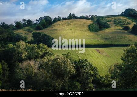 Brecon Beacons - Felder und Hecken Stockfoto