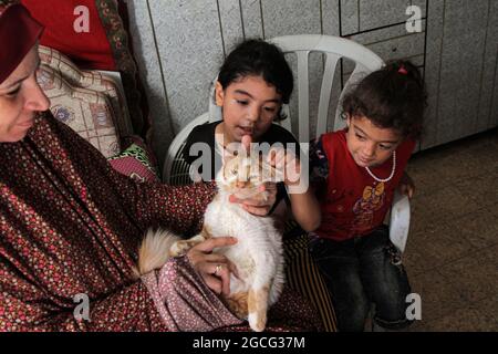 Gaza. August 2021. Mitglieder der Familie Abu al-Khair kümmern sich am 8. August 2021 in ihrem Haus im Al-Shati Flüchtlingslager in Gaza-Stadt um eine Katze. Die Familie Abu al-Khair verwandelte ihr Zuhause in ein Tierheim, um streunenden Katzen in Not zu helfen, trotz ihrer schwierigen Lebensbedingungen. Kredit: Rizek Abdeljawad/Xinhua/Alamy Live Nachrichten Stockfoto