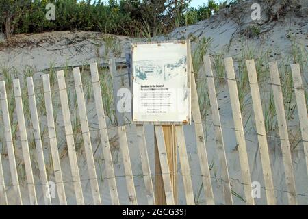 Schild mit geschützten Sanddünen und Strandgras hinter einem Holzzaun am Ellis Landing Beach in East Brewster, Massachusetts, am Cape Cod Stockfoto