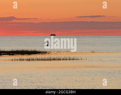 Silhouette eines Mannes, der auf einem Surfbrett kniet, eine Fähre im Hintergrund, während die Sonne auf Cape Cod Bay vor Paine's Creek Beach, Brewster, Massachusetts, untergeht Stockfoto