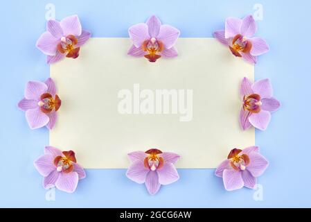 Leeres Papier mit Orchideen auf blauem Hintergrund, Kopierraum. Stockfoto