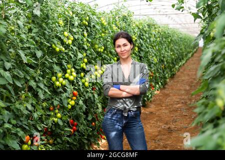 Frau, die zwischen Tomatensträuchern steht Stockfoto