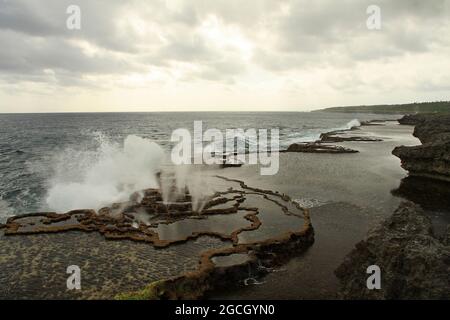 Blowholes auf den Felsen entlang der Küste von tonga Stockfoto