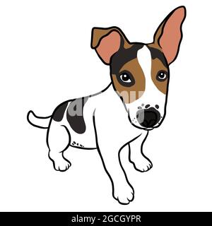 Jack Russell Welpen Hund Porträt Cartoon Vektor Illustration Stock Vektor