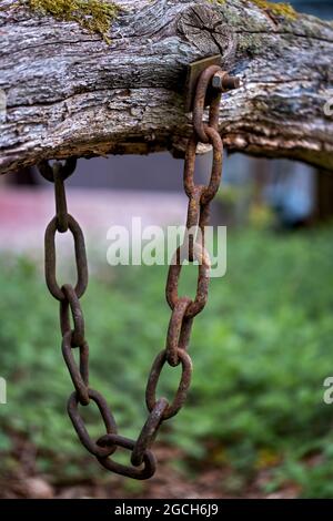 Nahaufnahme einer alten Stahlkette auf einem Holzbalken Stockfoto