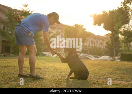 Der Mann berührt die Hundepfote in der Hand und schüttelt die Geste. Sonnenaufgang am Morgen im Hintergrund. Stockfoto