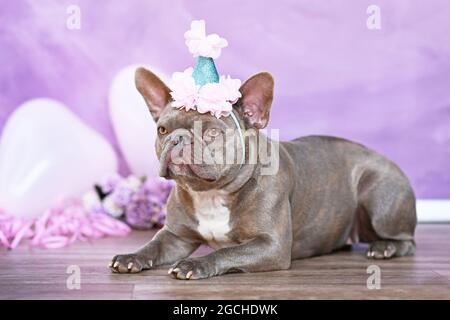 Französische Bulldog Hund mit Geburtstagsteil Hut vor verschwommenem rosa Hintergrund mit Blumen und herzförmigen Ballons Stockfoto