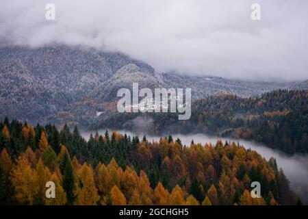 Der Schnee fängt an, die Farben des Herbstwaldes zu bedecken Stockfoto