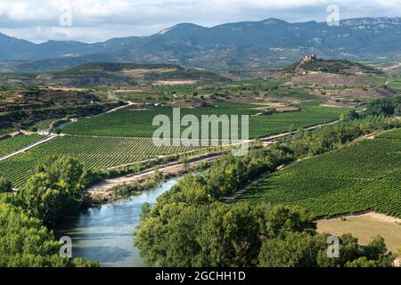 Ebro Fluss mit der Burg Davalillo im Hintergrund, La Rja, Spanien Stockfoto