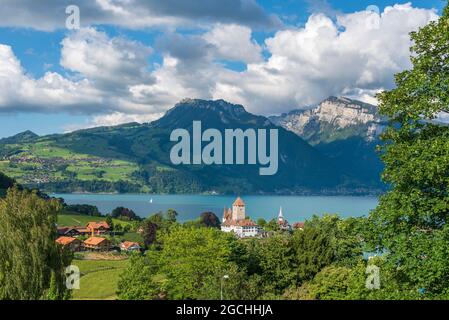 Geographie / Reisen, Schweiz, Thunersee mit Schloss Spiez, Spiez, Berner Oberland, ZUSÄTZLICHE-RIGHTS-CLEARANCE-INFO-NOT-AVAILABLE Stockfoto