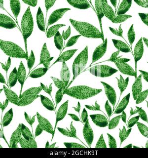 Grüner Tee Blätter Aquarell nahtlose Muster. Stockfoto