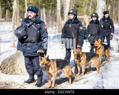 Elektrostal, Russland. April 2018. Militärische Hundeführer, die während der Militärübung gesehen wurden.in Elektrostal wurde eine praktische Lektion mit Soldaten und Mitarbeitern von Spezialeinheiten des Zentralbezirks der Russischen Garde abgehalten. (Bild: © Mihail Tokmakov/SOPA Images via ZUMA Press Wire) Stockfoto