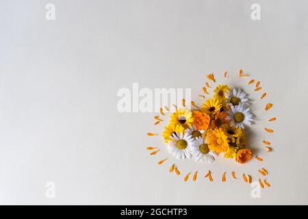 Blühend geformtes Herz. Sommer bunte Gänseblümchen Blumen. Stockfoto