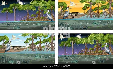 Verschiedene Mangrovenwaldlandschaftsszenen mit Tierdarstellung Stock Vektor